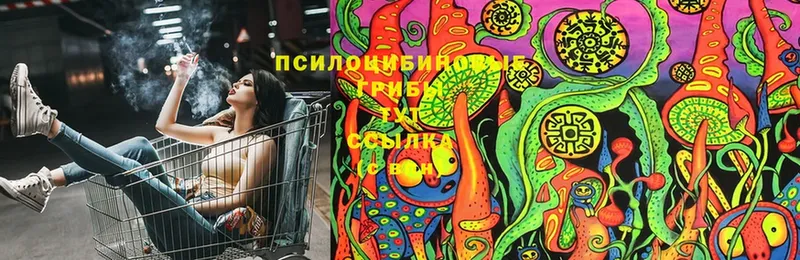 Галлюциногенные грибы MAGIC MUSHROOMS  закладка  Дмитровск 